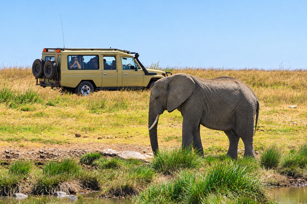 Golden Tai Expeditions — Safari Land Cruiser and African elephant by the waterhole